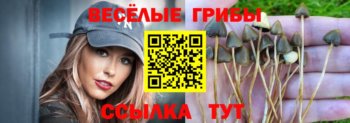 Галлюциногенные грибы Magic Shrooms Саяногорск